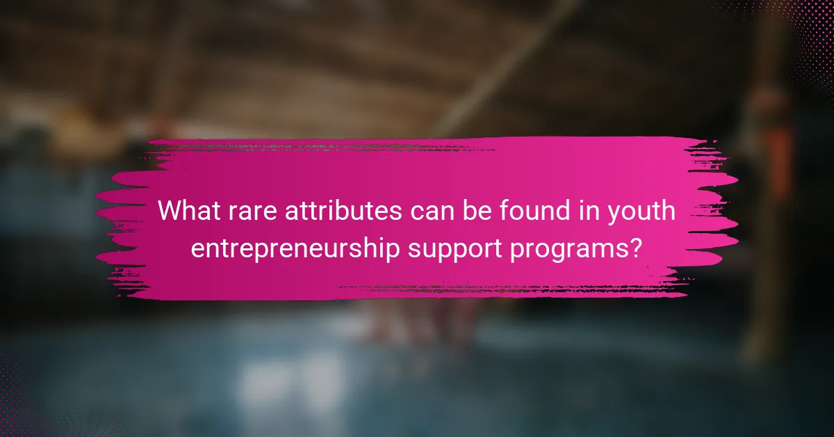 What rare attributes can be found in youth entrepreneurship support programs?